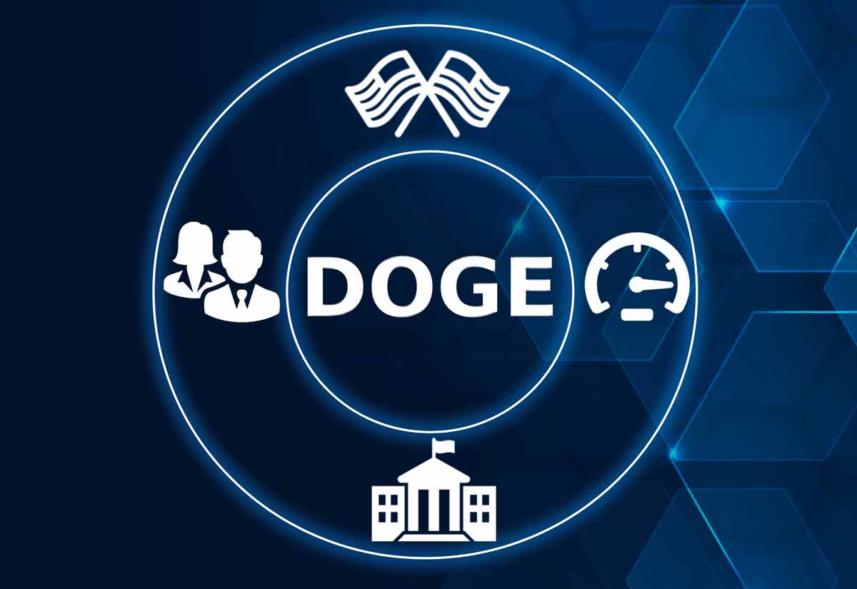 Image of the Department of Government Efficiency