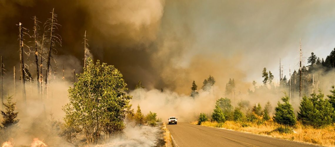 wildfire